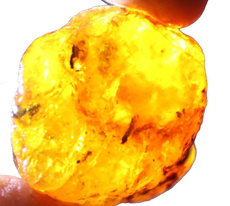 Exquisite Natural Dominican Clear Light Yellow Amber Rough Specimen 35mm 16g