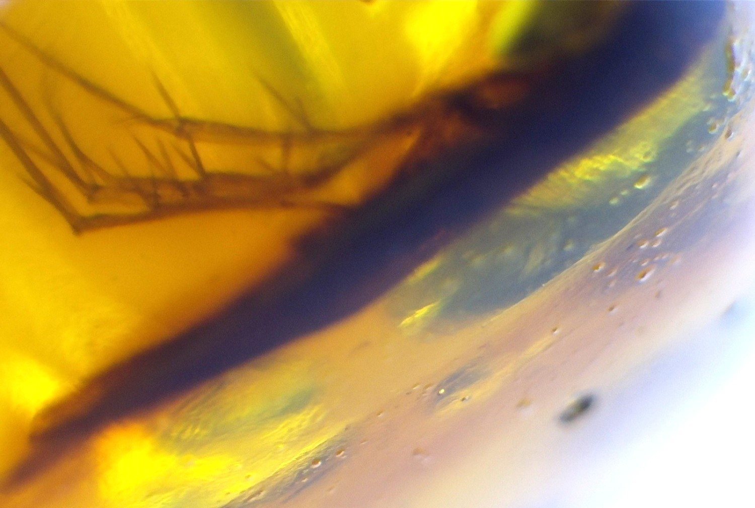 Biggest 5.3 grams Natural Dominican Amber Polished Stone 30mm