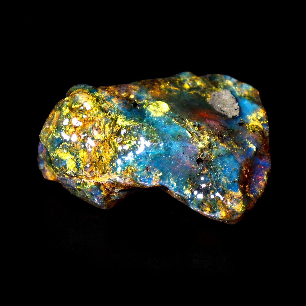 Polished Statement Green Blue Dominican Amber Rough Specimen Chunk 60mm 42g
