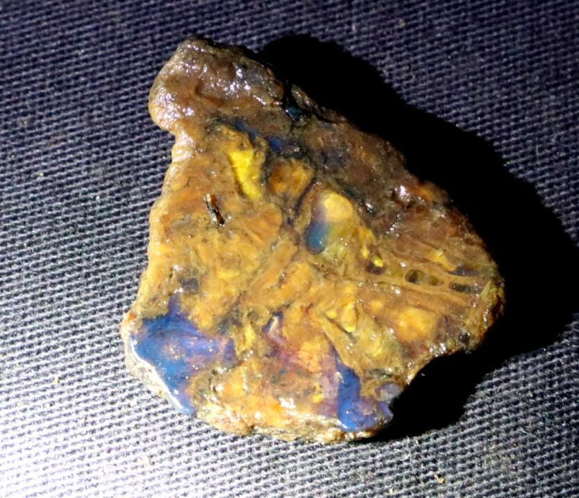 Natural Translucent Butterscotch Blue Amber Slab Slice Specimen 33mm 4g