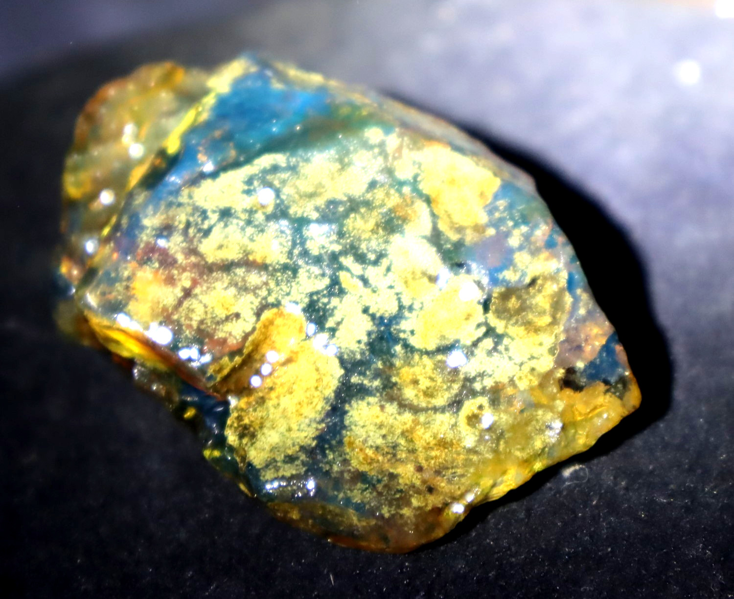Outstanding Natural Dominican Clear Green Blue Amber Rough Specimen 56mm 22.5g