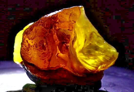 Exquisite Natural Dominican Clear Yellow Amber Rough Specimen 53mm 28g