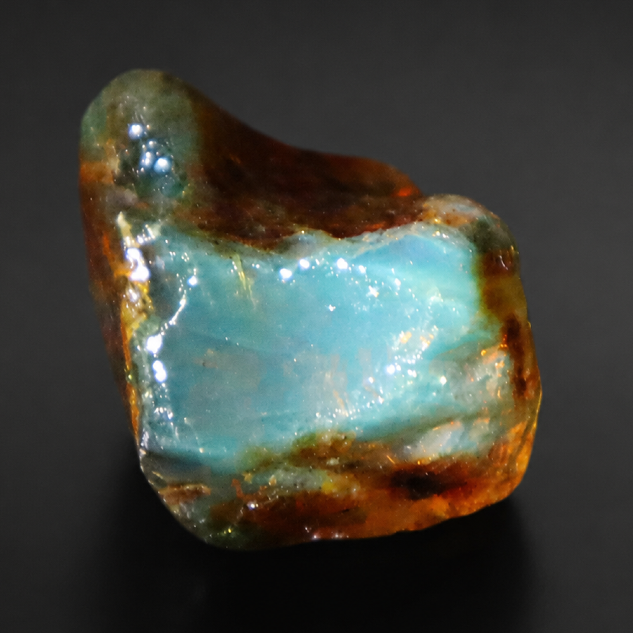 Clear sea blue Natural Dominican Amber rough Rough Specimen 30 mm