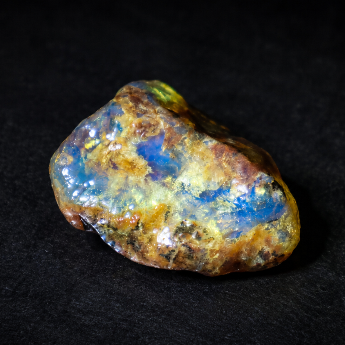 Translucent royal blue Natural Dominican Amber butterscotch Rough Specimen 33 mm