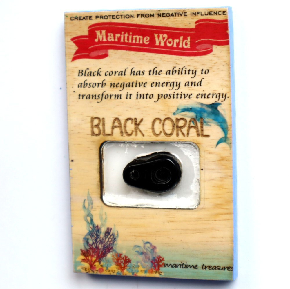 Handmade Refrigerator Black Coral Cabochon on Ficus Benjamin Wood Base 3x2 inch