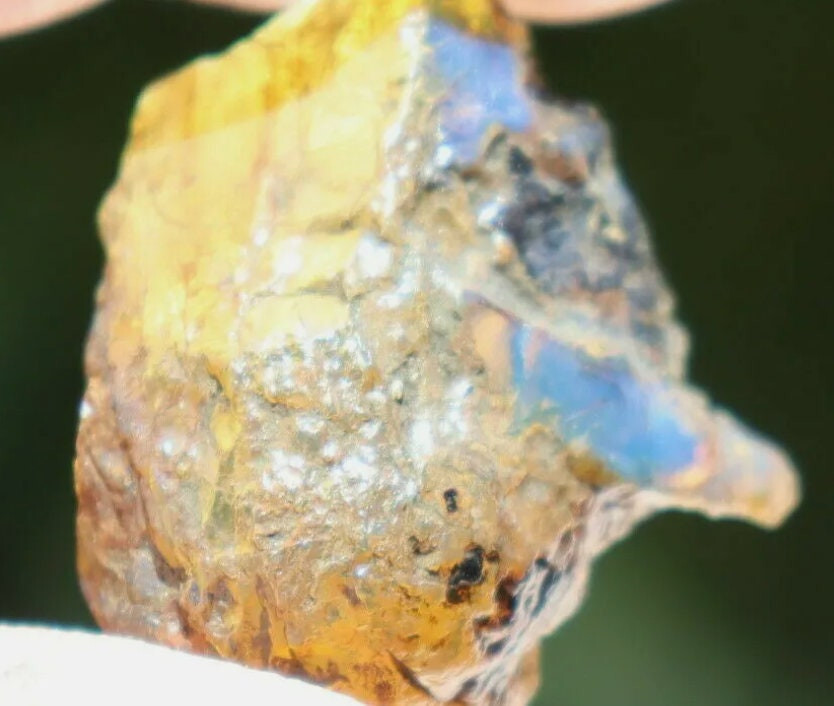 Exquisite Natural Dominican Clear Blue Amber Rough Specimen 38mm 5.5g