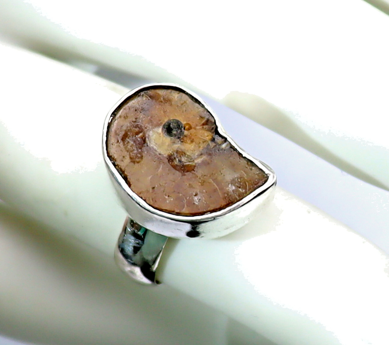 Excellent 450 mil years old Natural Ammonite Fossil .925 Sterling Silver Ring #6