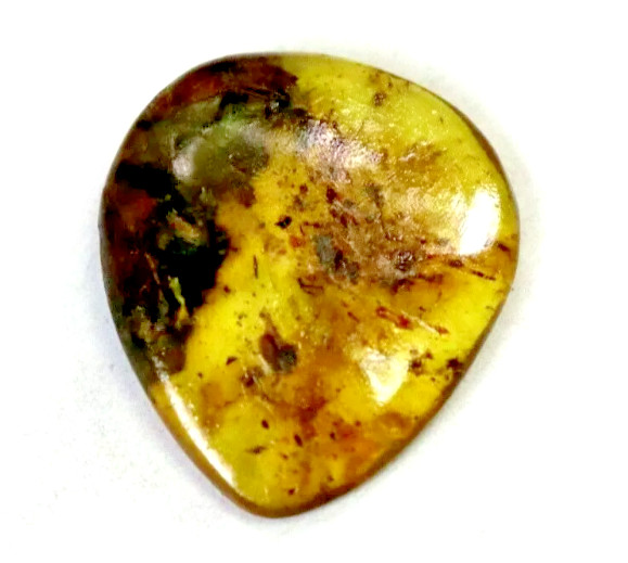 Genuine Natural Dominican Clear Green Amber Polished Stone 22mm  free drilling