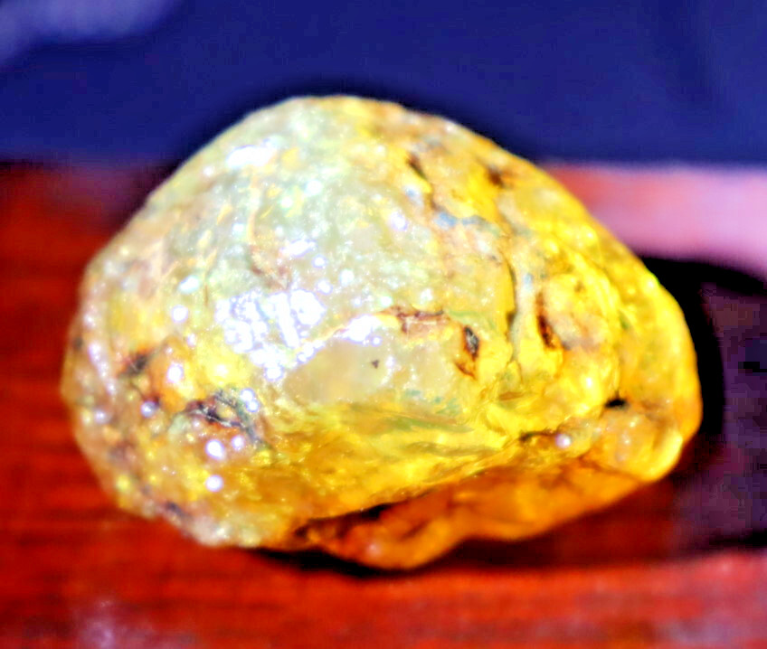 Natural Dominican Crystal Clear Light Blue Yellow Amber Rough Specimen 40mm 20.5